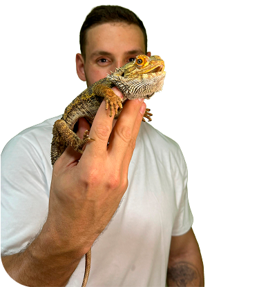 Textura de reptil