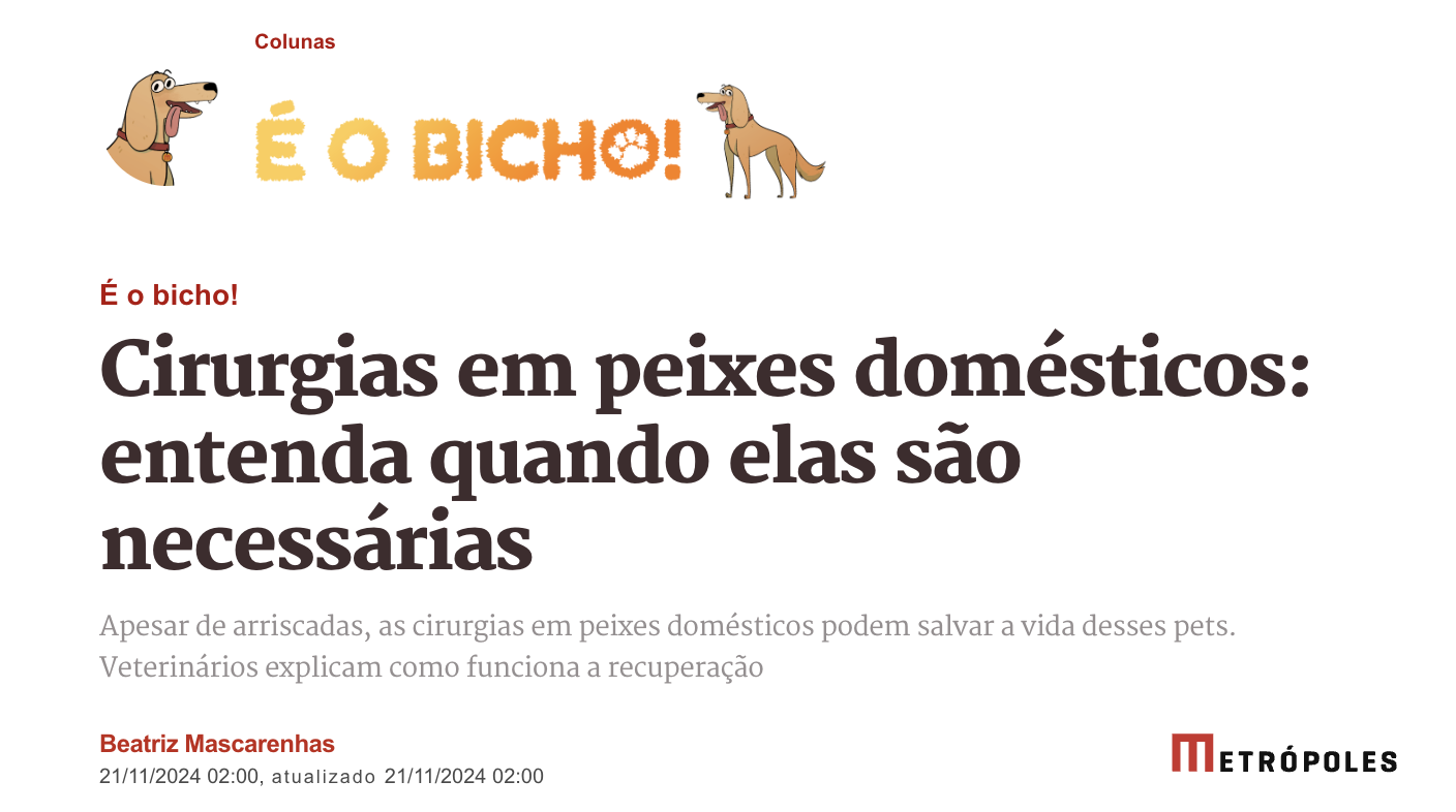 Notícia