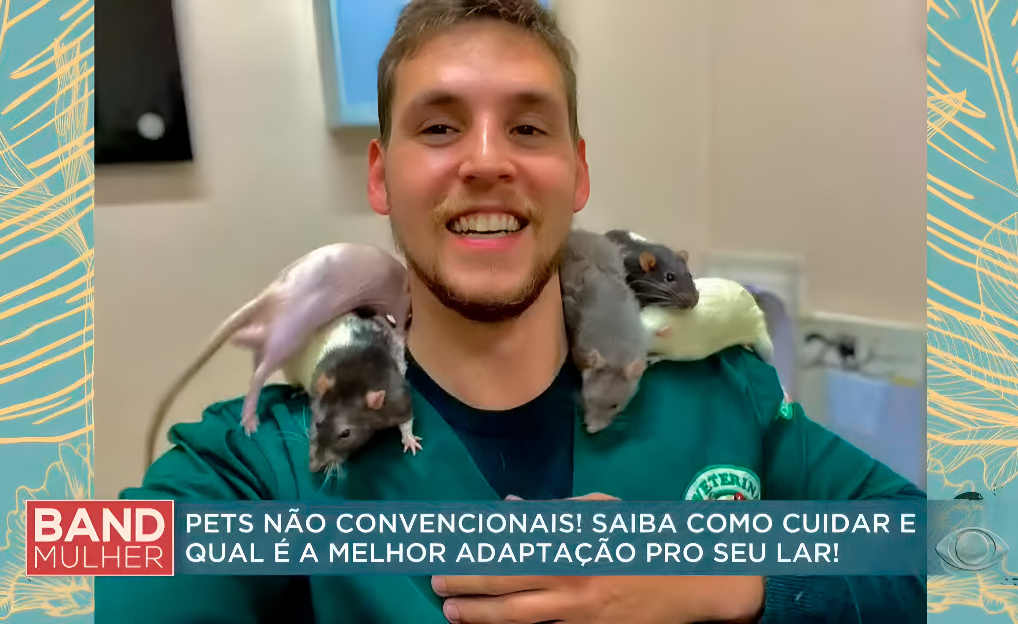 Notícia