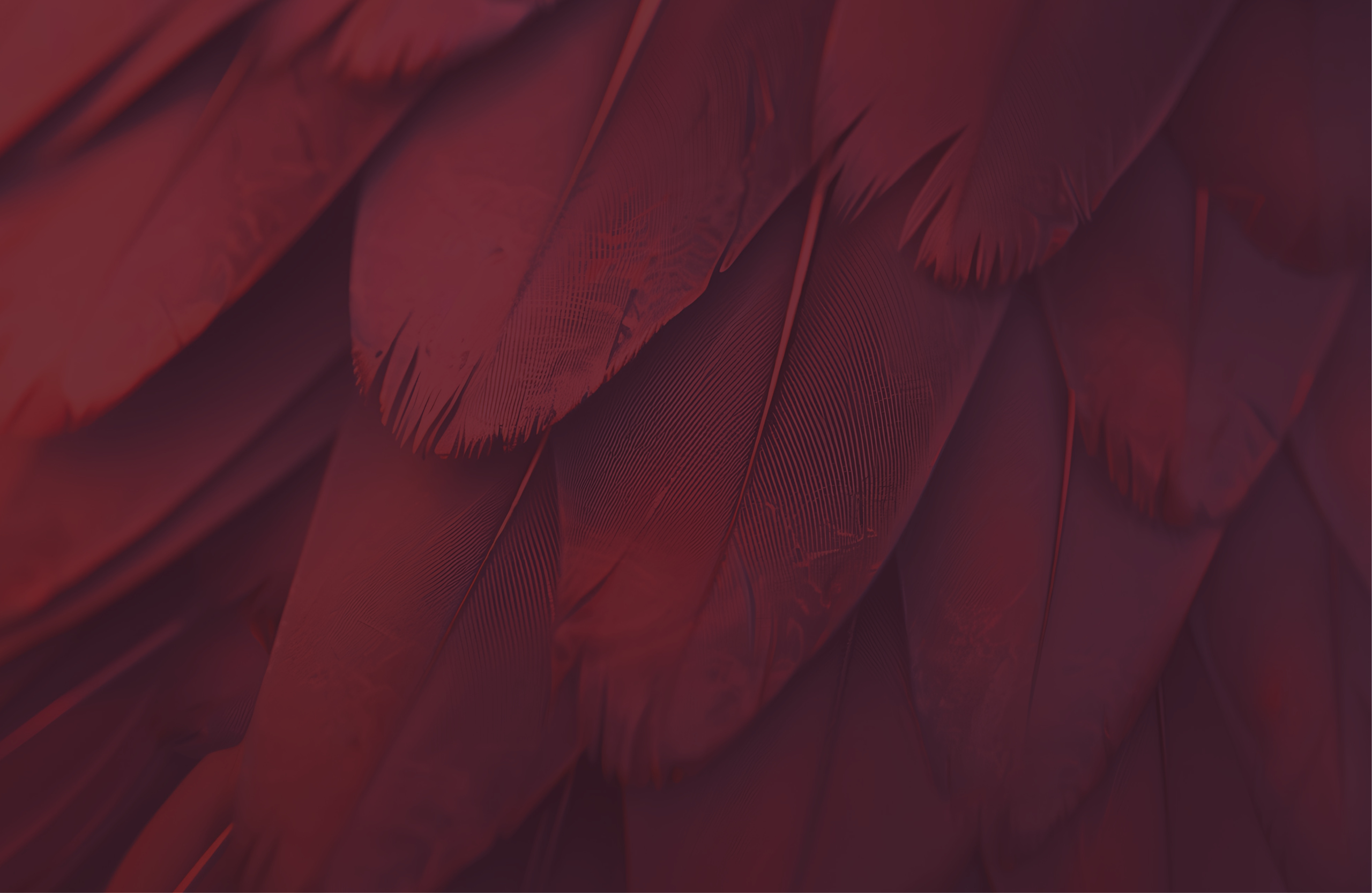 Textura de reptil